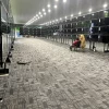 Carpet Tile Flooring