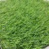 Lush Green Artificial Grass