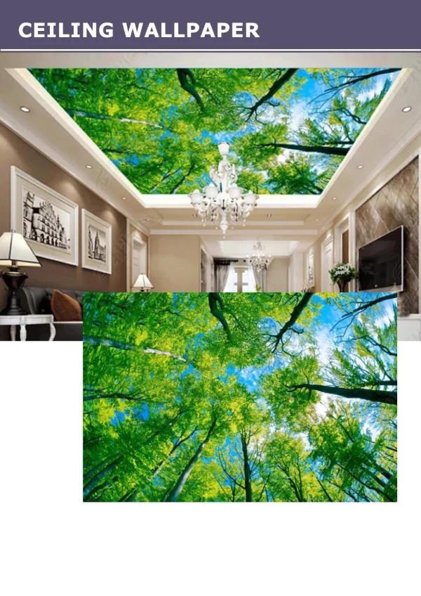 3D Ceiling Wallpaper