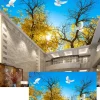 3D Ceiling Wallpaper
