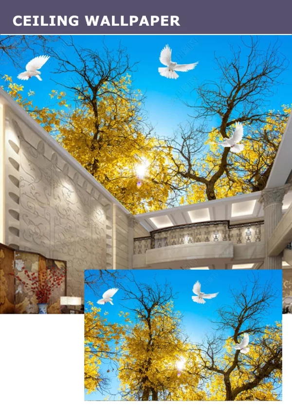 3D Ceiling Wallpaper