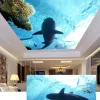 3D Ceiling Wallpaper