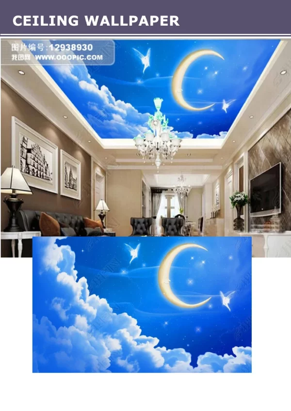 3D Ceiling Wallpaper