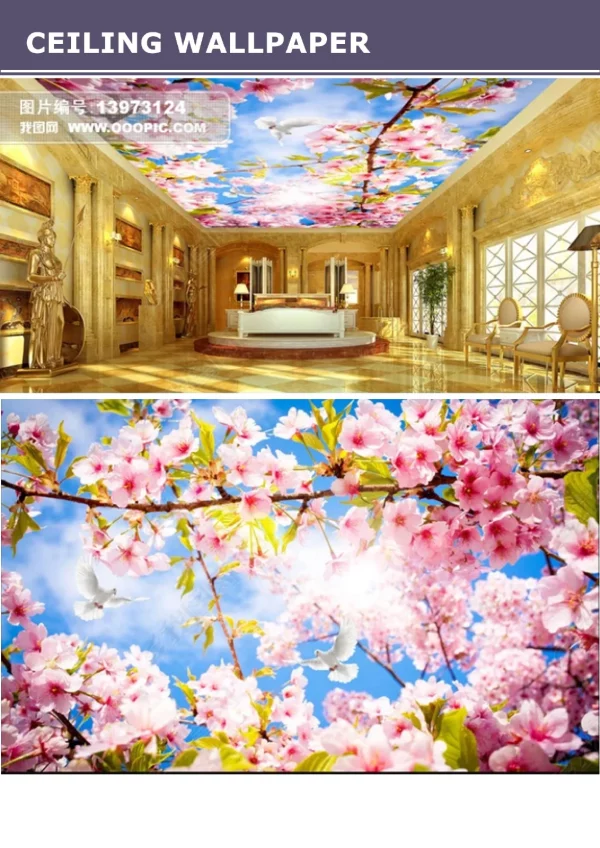 3D Ceiling Wallpaper