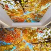 3D Ceiling Wallpaper
