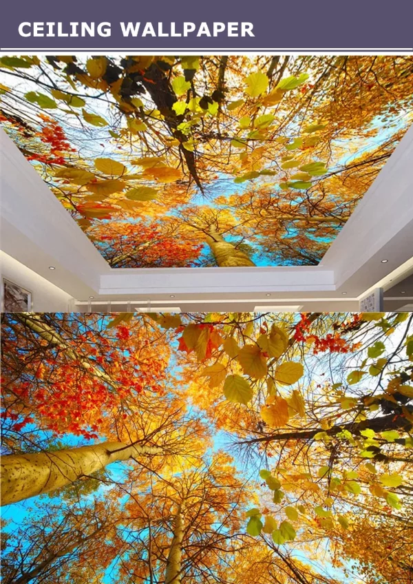 3D Ceiling Wallpaper