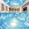 3D Ceiling Wallpaper