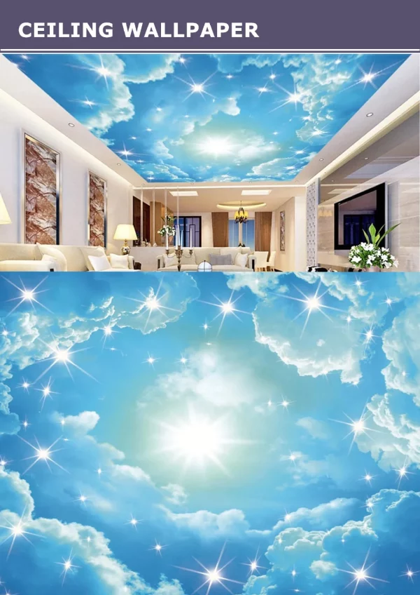 3D Ceiling Wallpaper