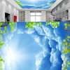 3D Ceiling Wallpaper