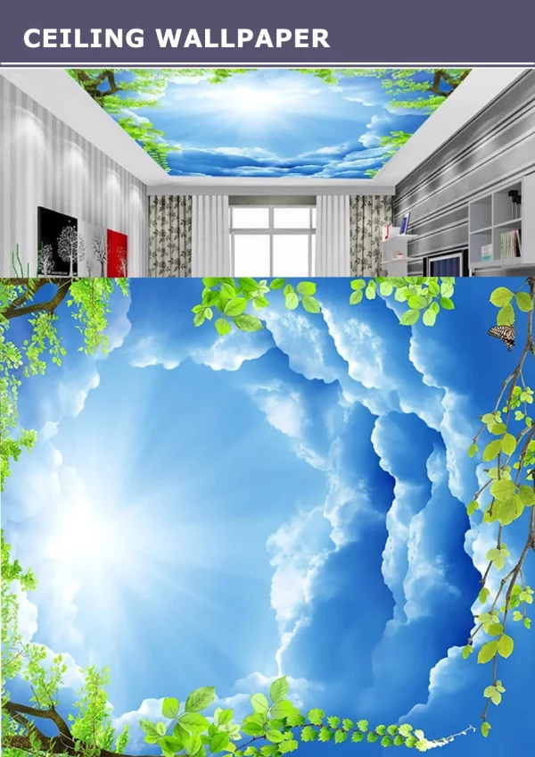 3D Ceiling Wallpaper