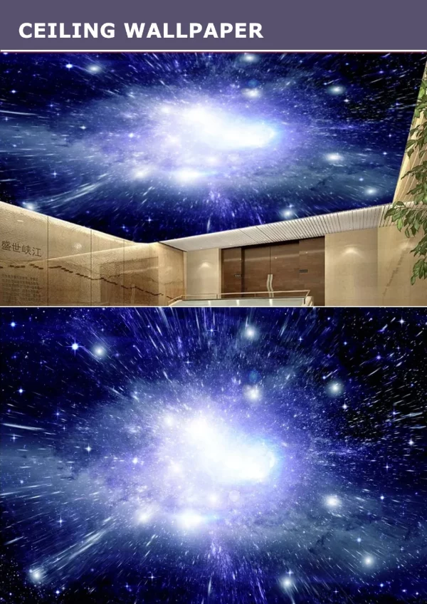 3D Ceiling Wallpaper