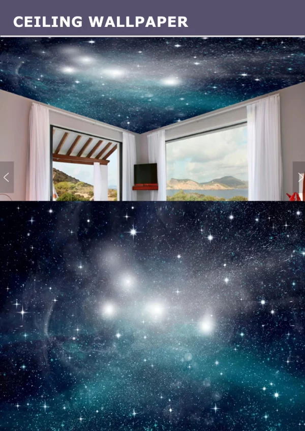 3D Ceiling Wallpaper