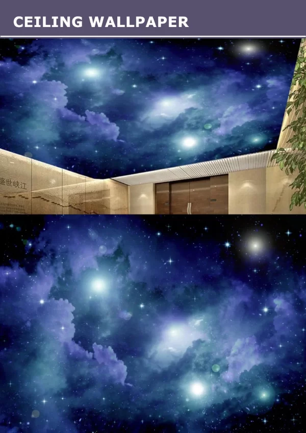 3D Ceiling Wallpaper