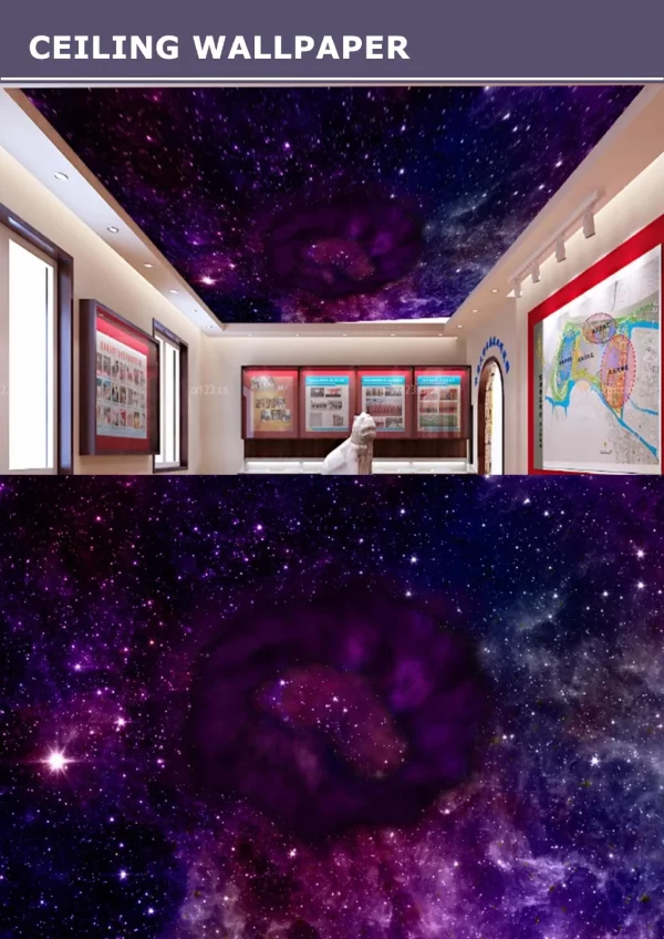 3D Ceiling Wallpaper