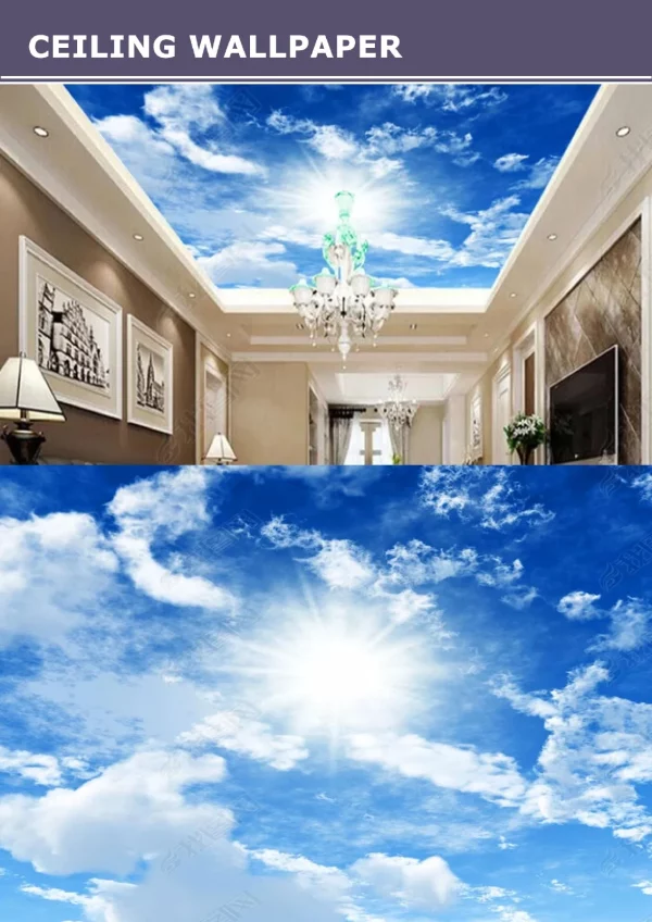 3D Ceiling Wallpaper