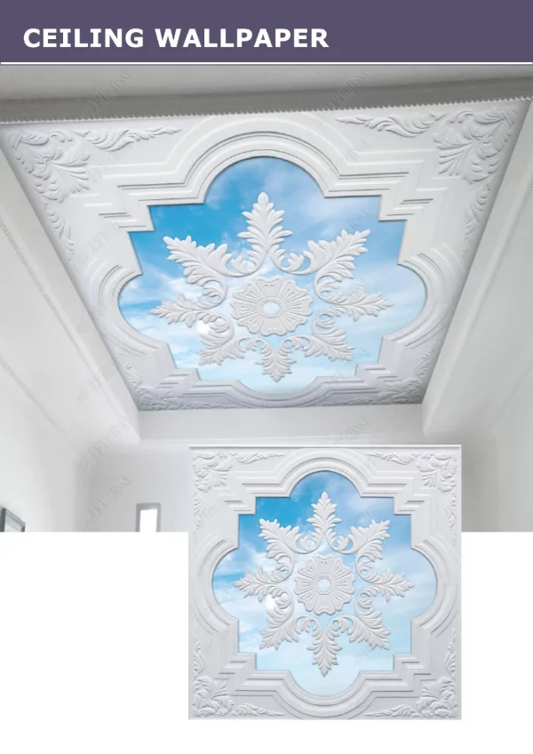 3D Ceiling Wallpaper