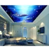3D Ceiling Wallpaper