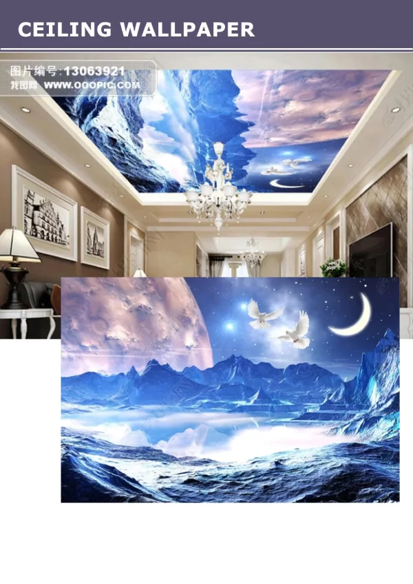 3D Ceiling Wallpaper