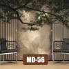 Wall Designs