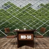 Wall Designs