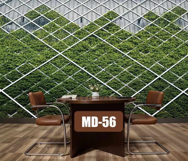 Wall Designs