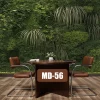 Wall Designs