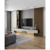 WALL DESIGNE(2)
