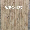8 Inch Wpc panel move series