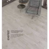 Dynamic (AGT) Effect